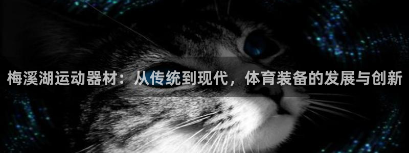 征途国际娱乐平台:梅溪湖运动器材:从传统到现代,体育装备的发